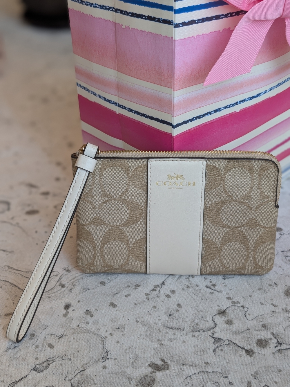 Coach Zip Wristlet in Signature Canvas